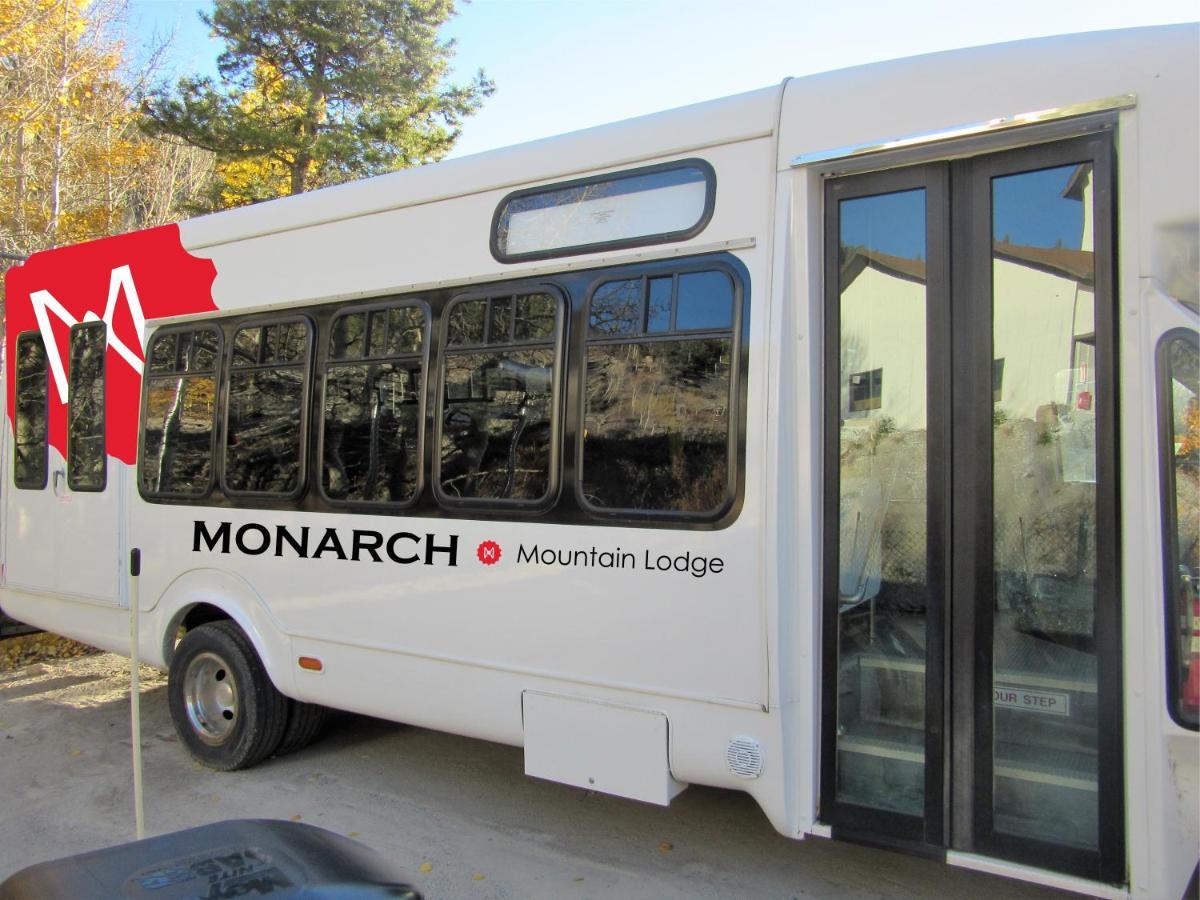 Mountain Monarch