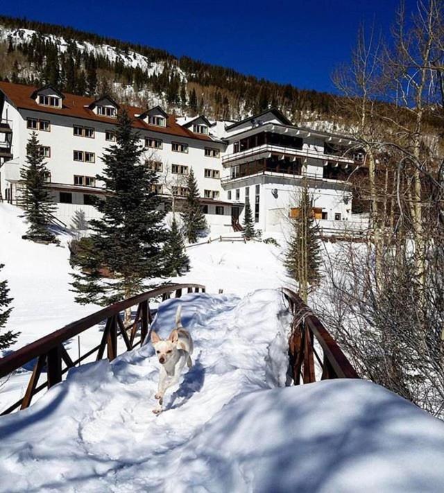 Hotel Monarch Mountain Monarch